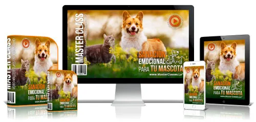 SANACIÓN EMOCIONAL PARA TU MASCOTA
